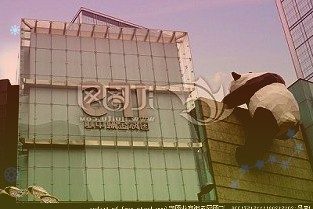 “以旧换新”见实效激活消费新动能有地方开启明年以旧换新活动的商家报名，政