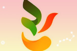 20款车载空气净化器比较试验大家关心的指标如何？